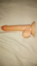 DSC_0051.JPG