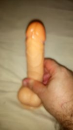 DSC_0052.JPG