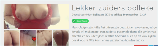 Knipsel.PNG