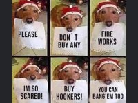 FB_IMG_1640955561578.jpg