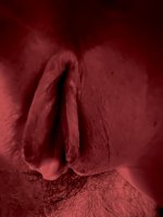 IMG_9151.jpeg