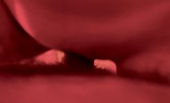 IMG_9154.jpeg